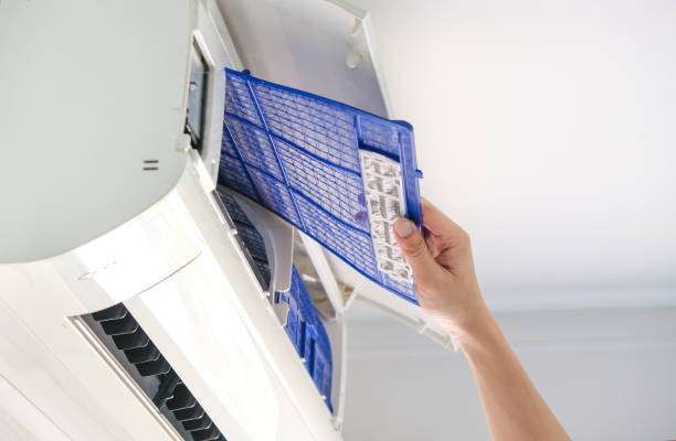 Best Ductwork Cleaning Services  in Gray, TN