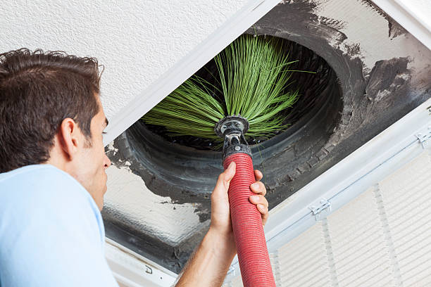 Best Air Duct Sanitizing Services  in Gray, TN